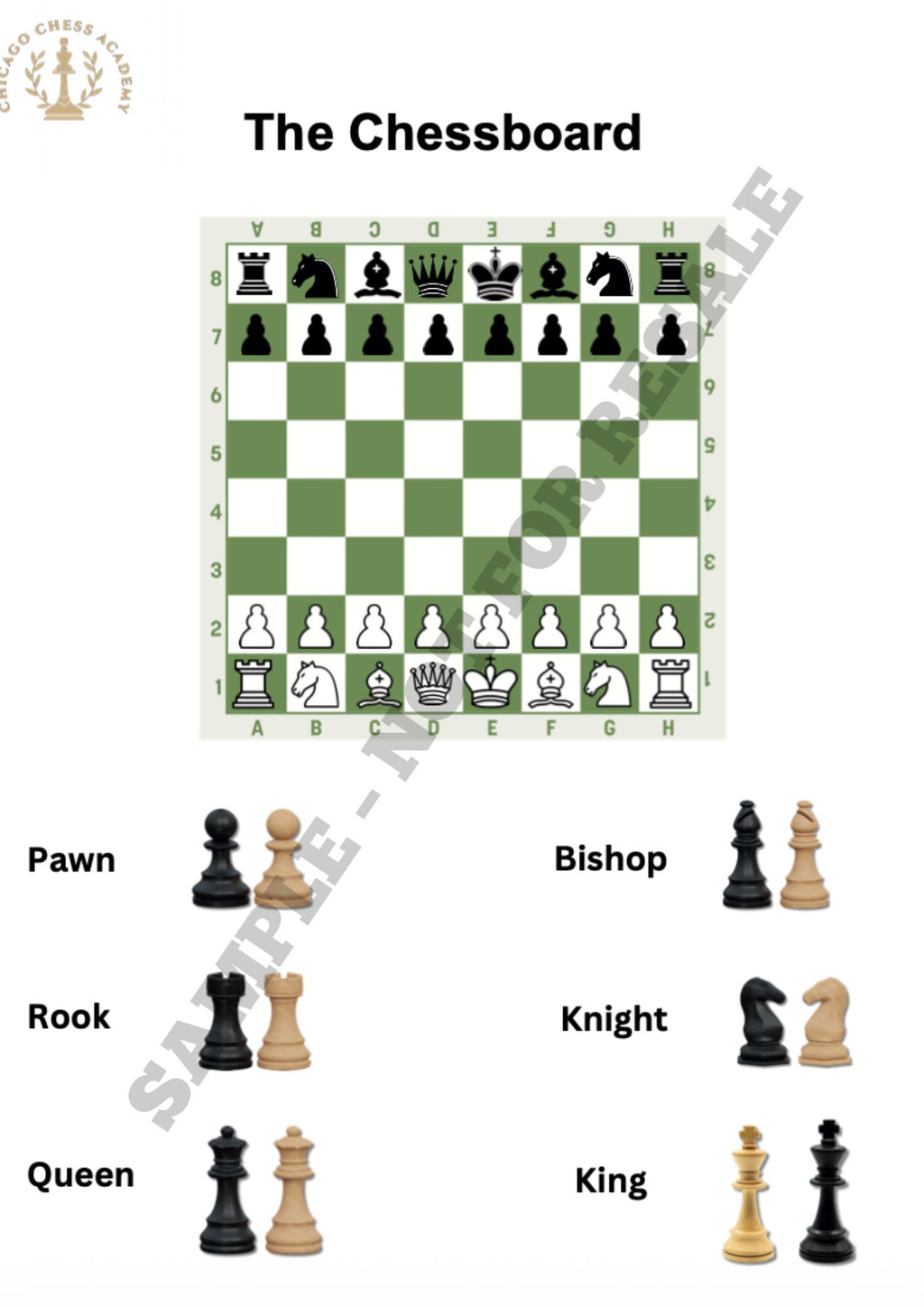 Chess Starter Pack – Beginner Learning Bundle for Kids (Ages 5–8)